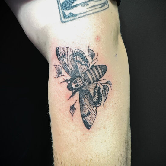 Blackwork deaths head moth tattoo