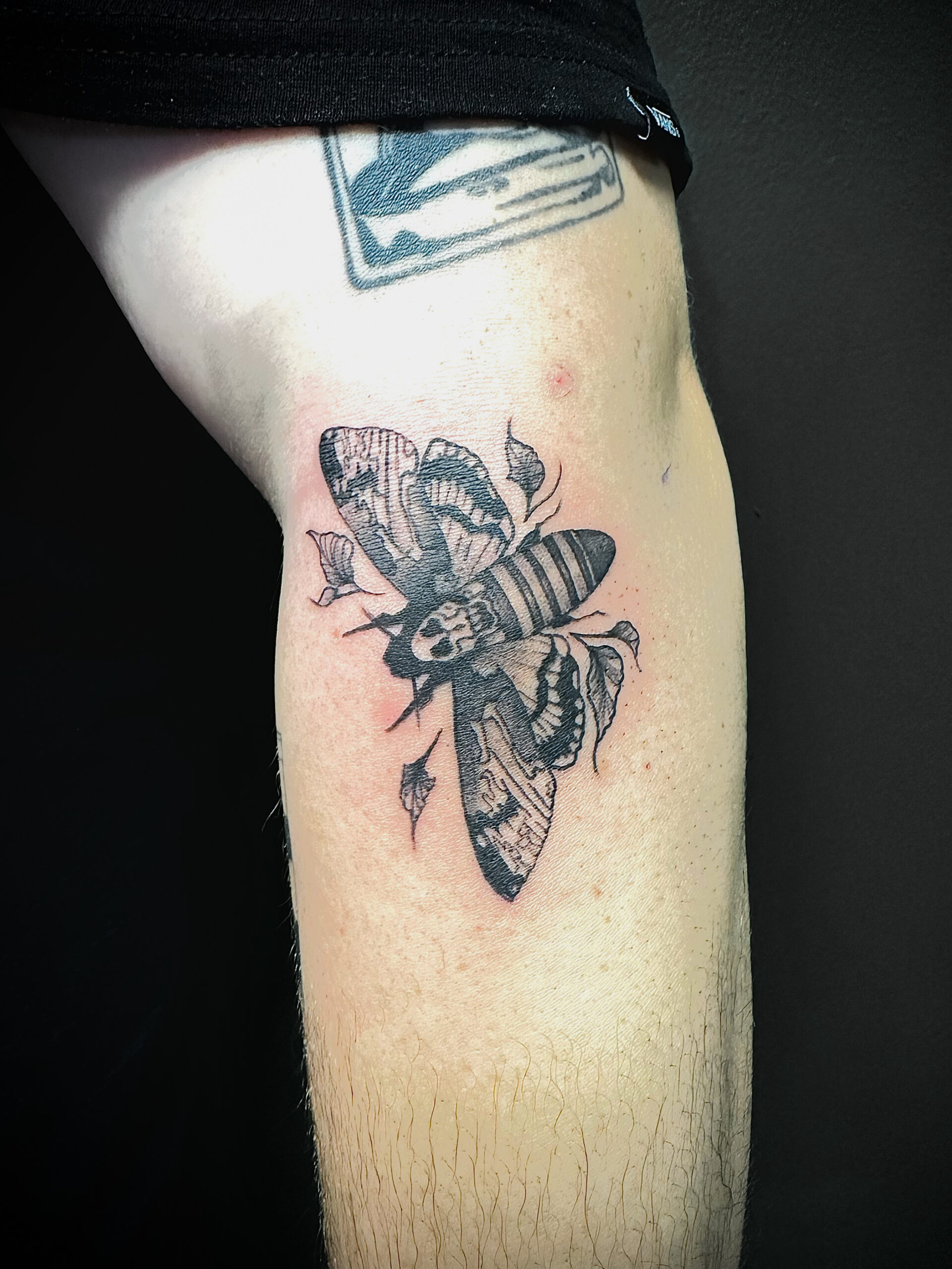 Blackwork deaths head moth tattoo