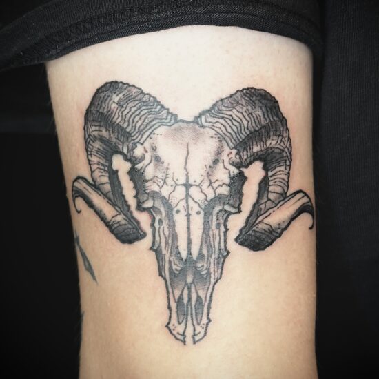 Blackwork rams skull tattoo